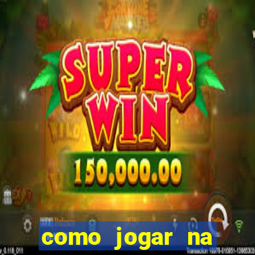 como jogar na seninha online